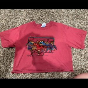 Cute Western Crop Top